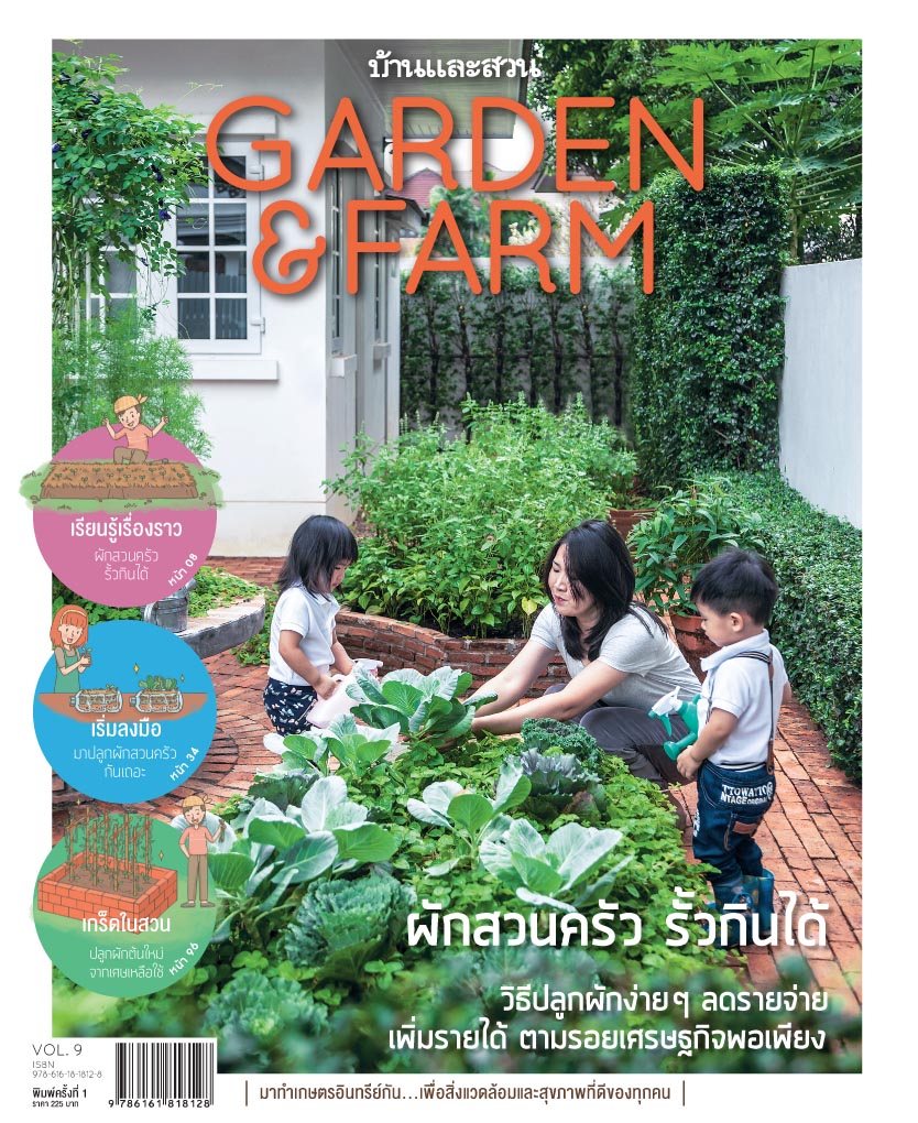 บ้านและสวน Garden & Farm ผักสวนครัว รั้วกินได้