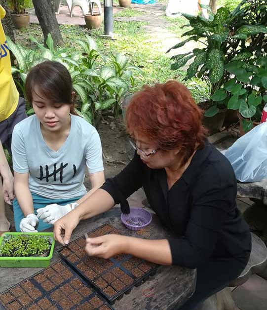 สวนผักบ้านรังษี ปลูกผัก สอนปลูกผัก