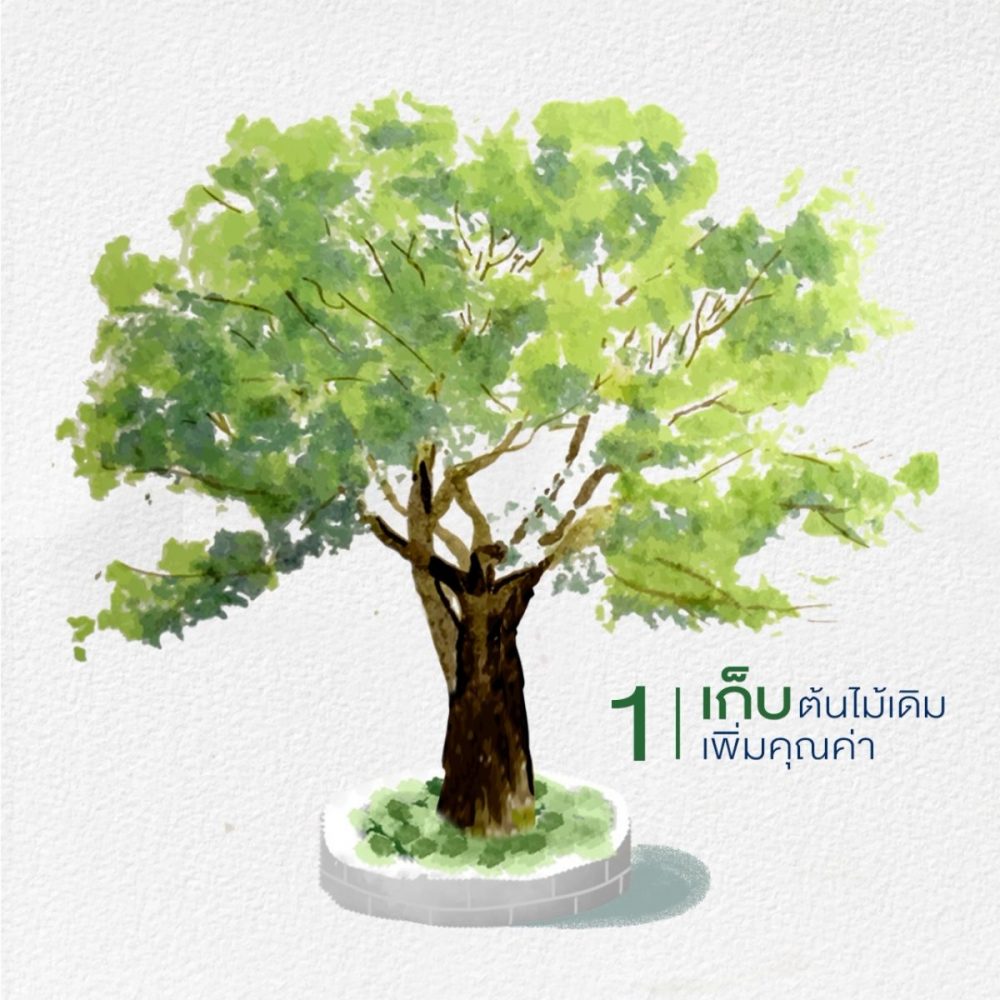 Sansiri Tree Story 35 ปีที่ แสนสิริ