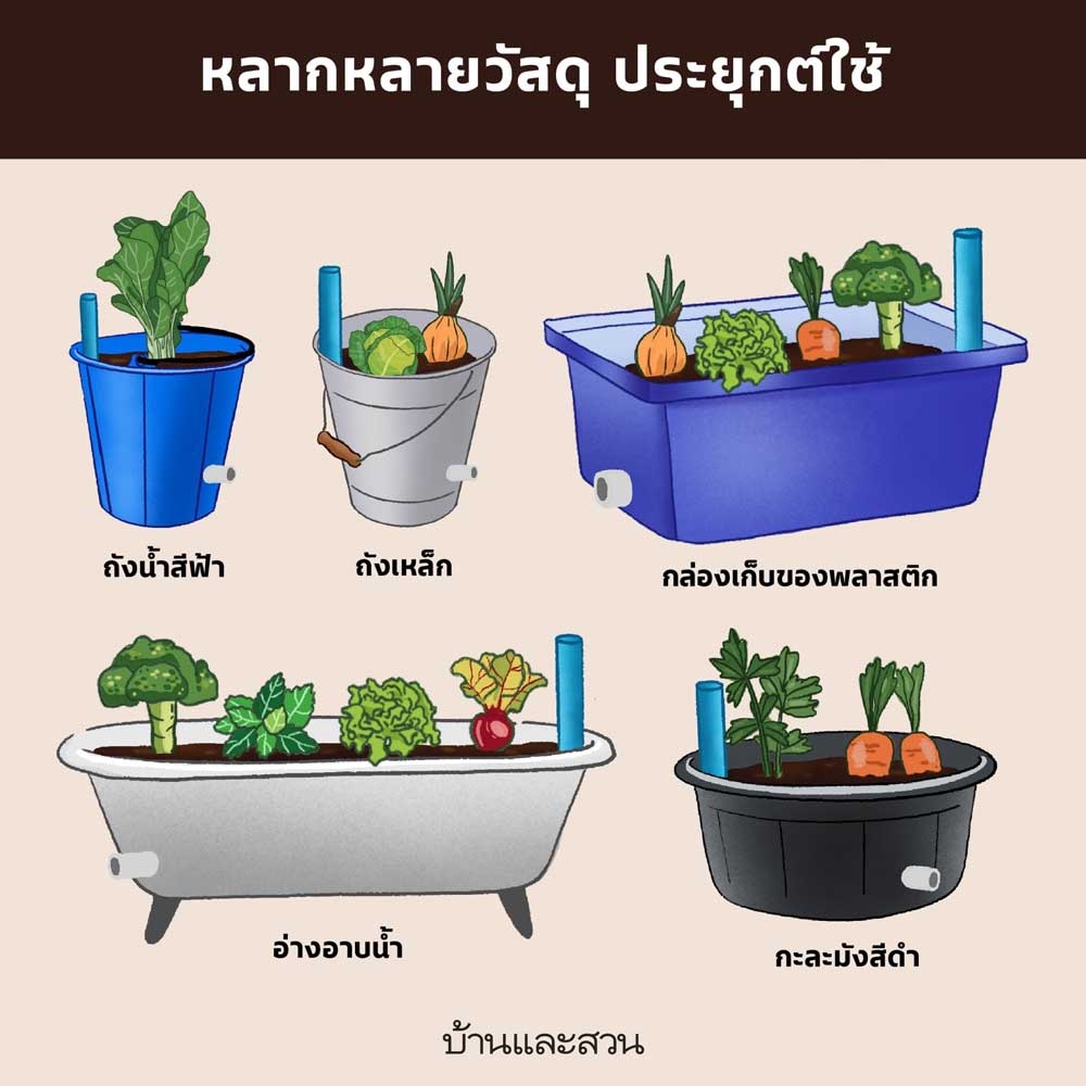 แปลงผัก ประหยัดน้ำ