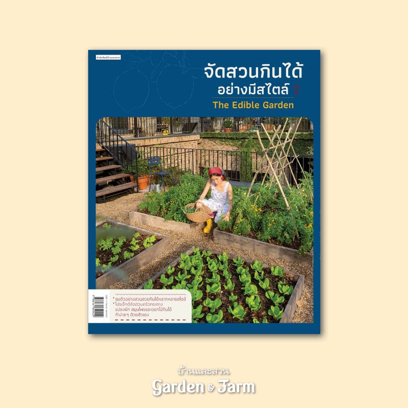 ทำแปลงผัก