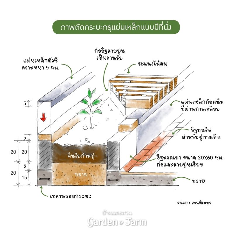 ปลูกผักข้างบ้าน