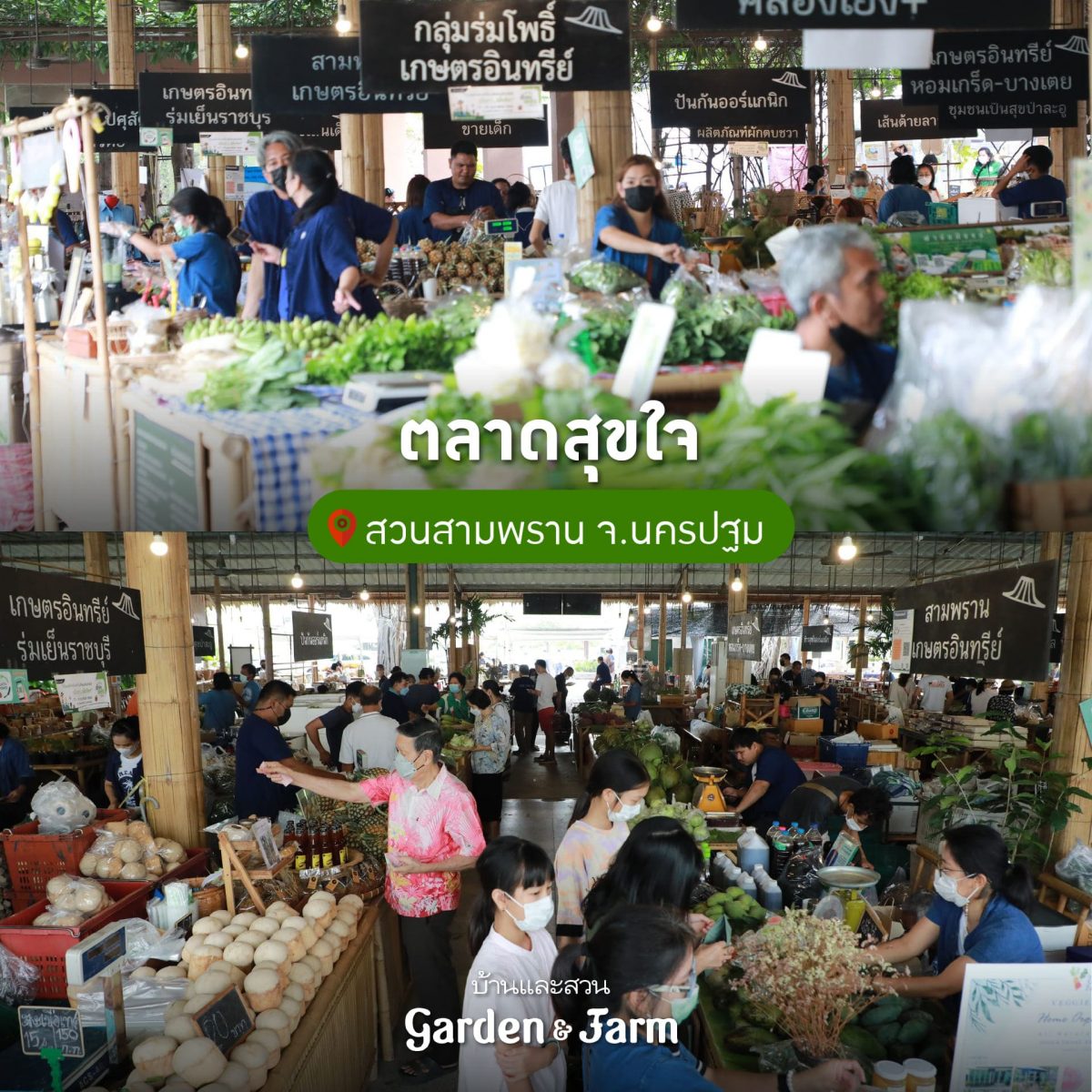 ตลาดเกษตรกร