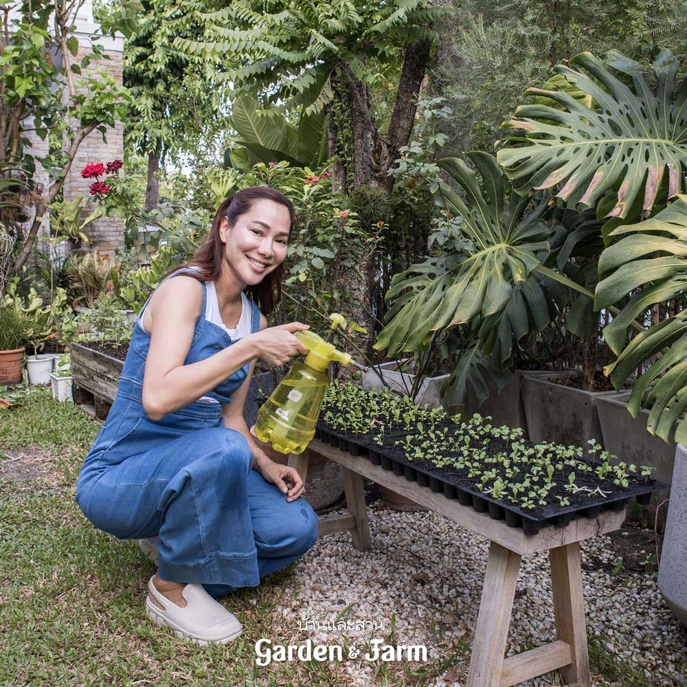 ปลูกผักสลัดอินทรีย์ จอย รินลณี