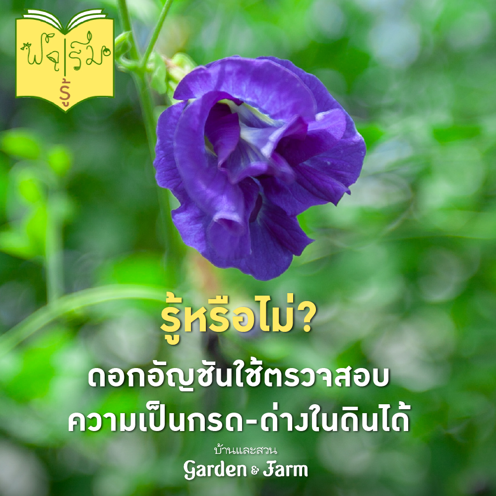 ทำเกษตร