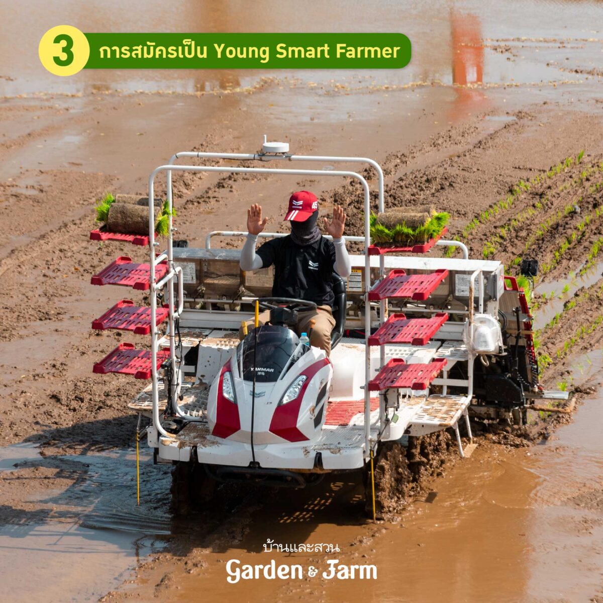 Young Smart Farmer