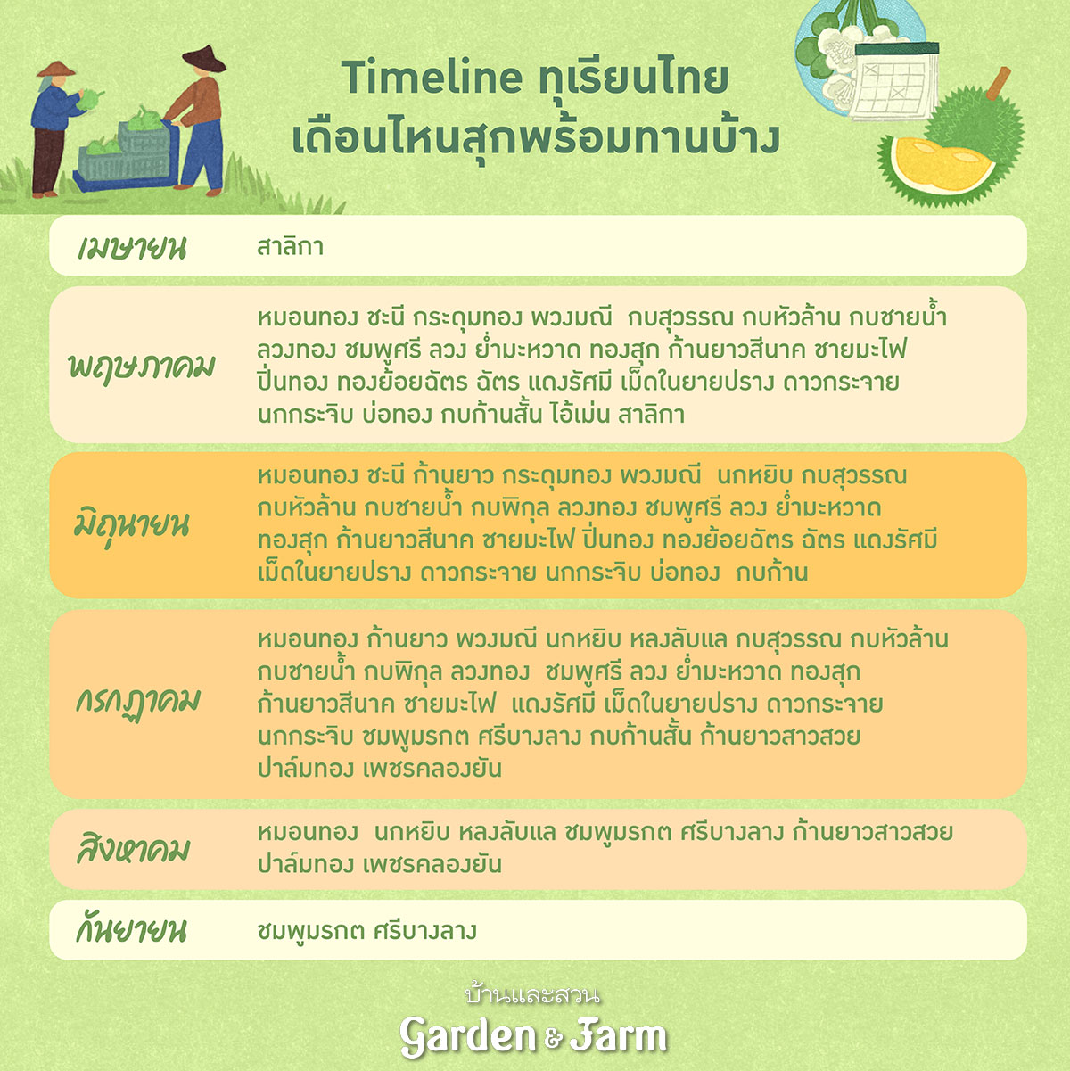 สายพันธุ์ทุเรียน