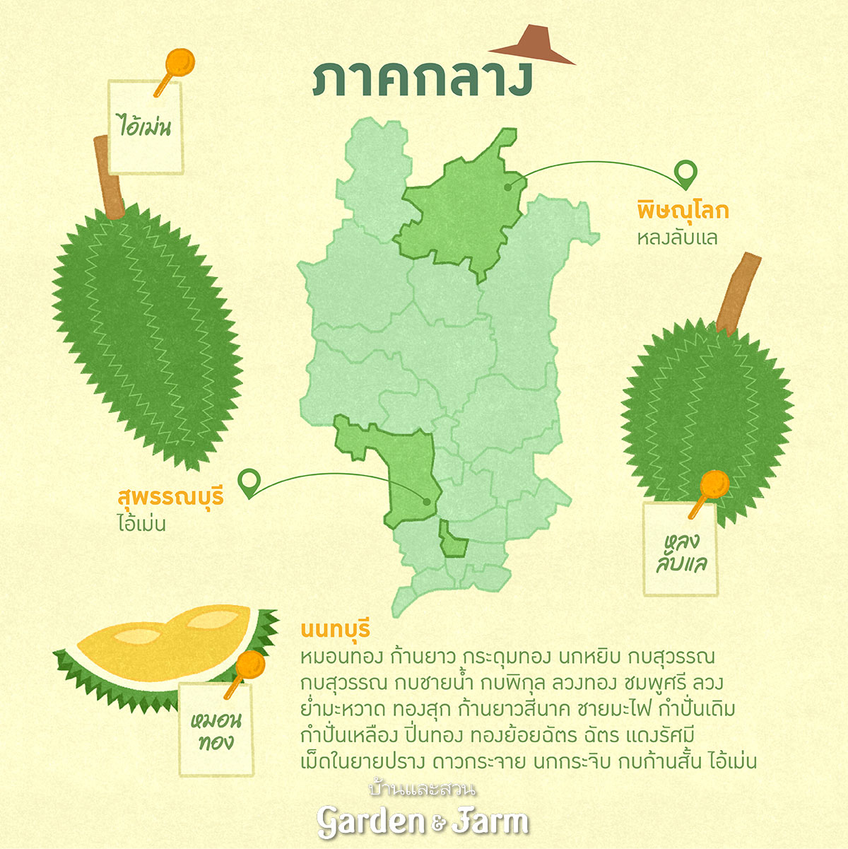 สายพันธุ์ทุเรียน