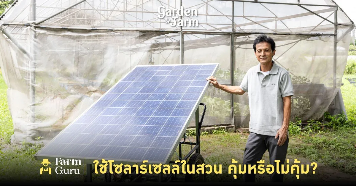โซลาร์เซลล์