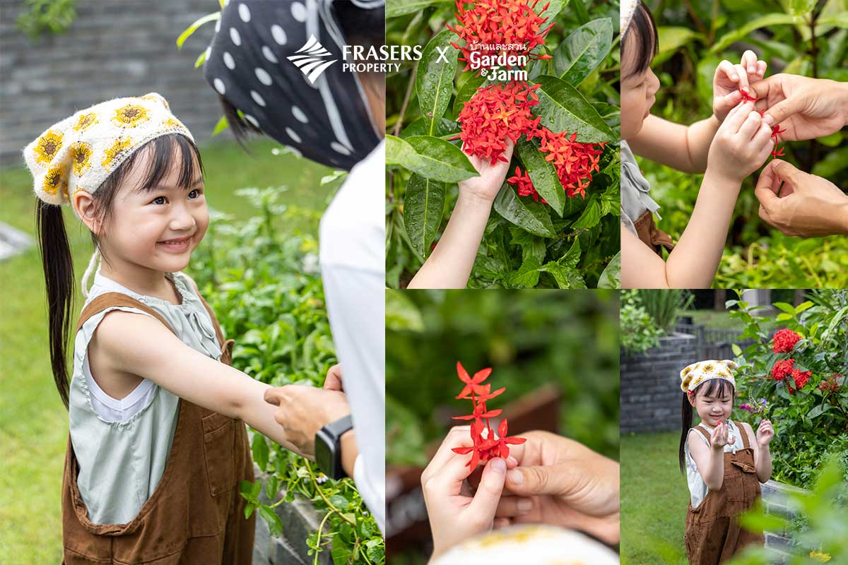 น้องจีด้า สวนแพรี่พาย ออกแบบสวนครัว