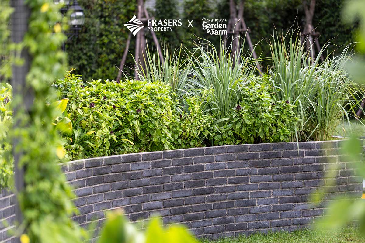 สวนแพรี่พาย ออกแบบสวนครัว