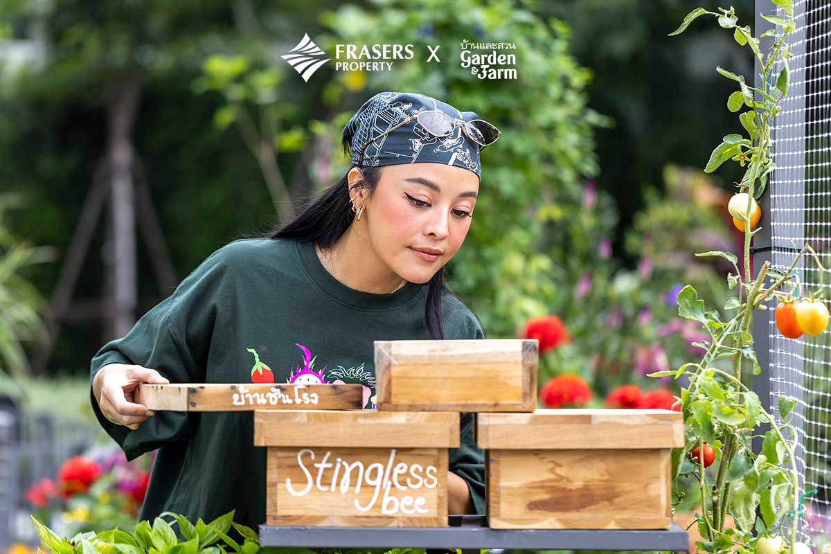 สวนแพรี่พาย ออกแบบสวนครัว