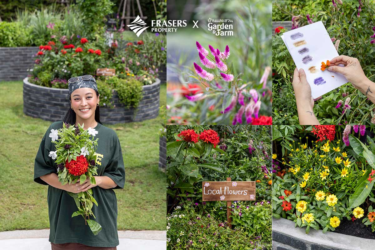 สวนแพรี่พาย ออกแบบสวนครัว