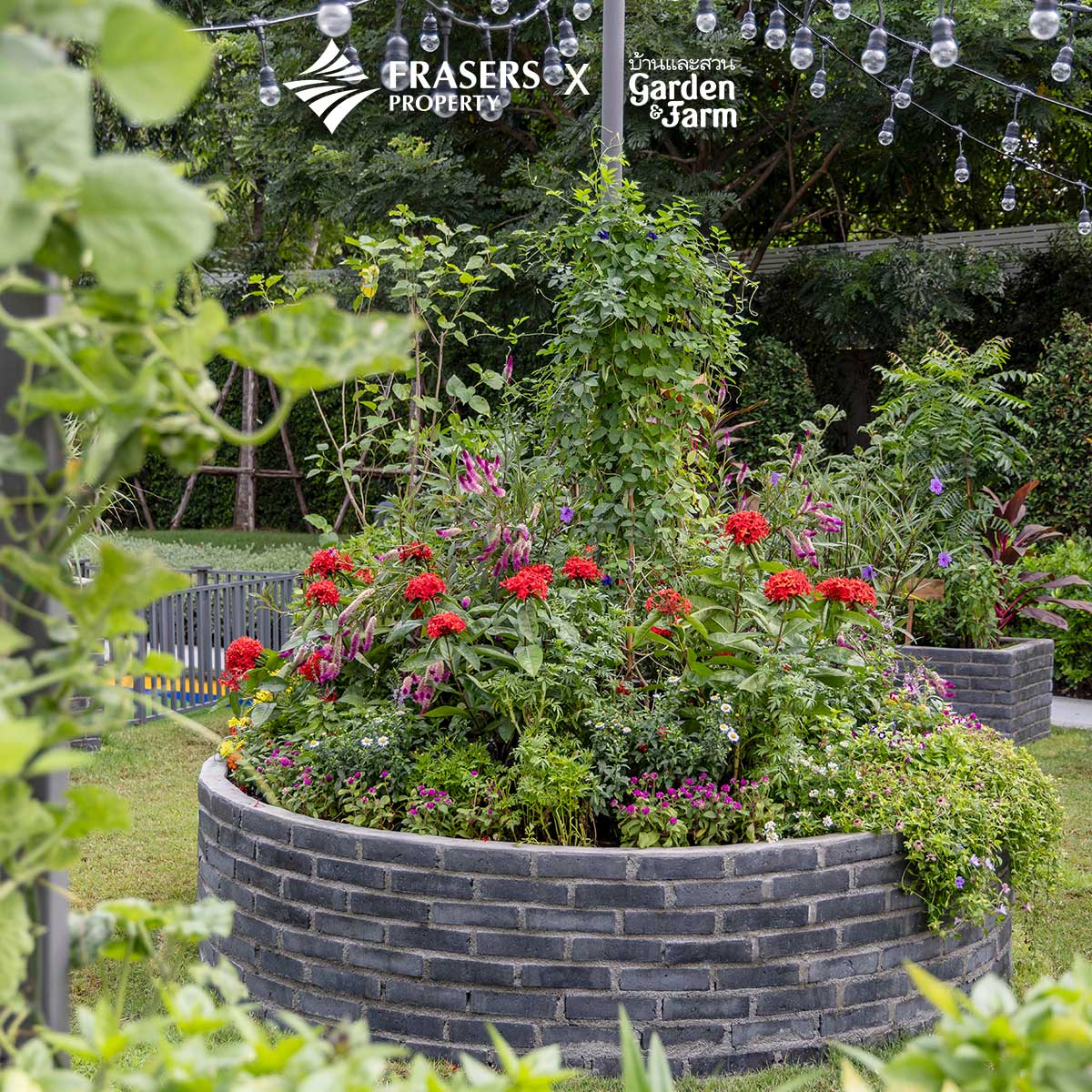 สวนแพรี่พาย ออกแบบสวนครัว