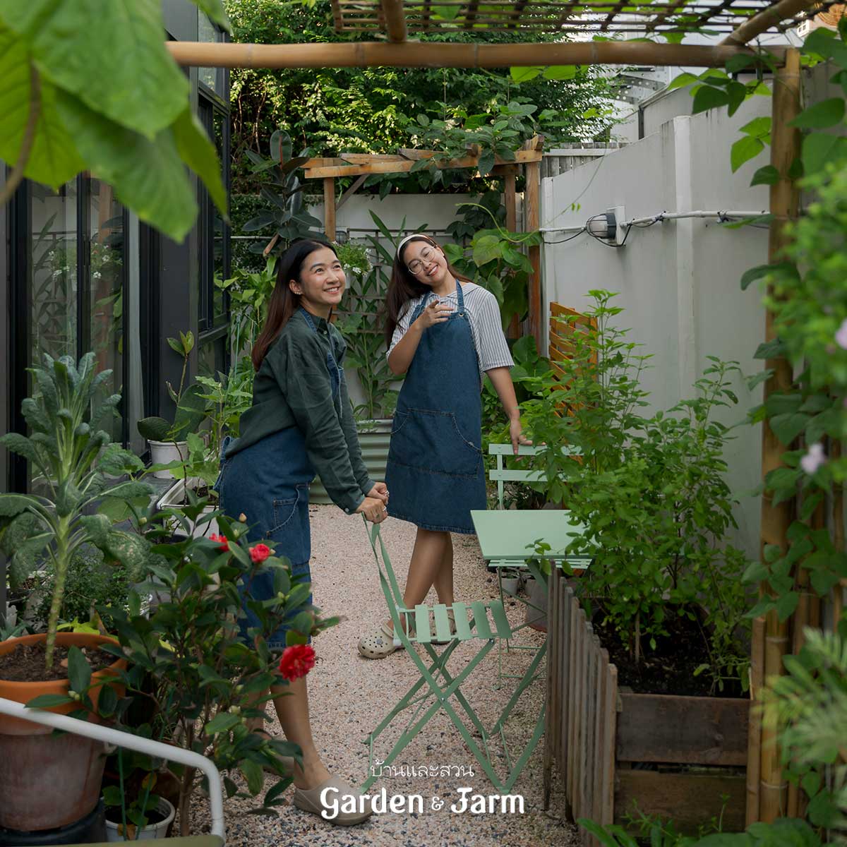 สวนครัวข้างบ้าน